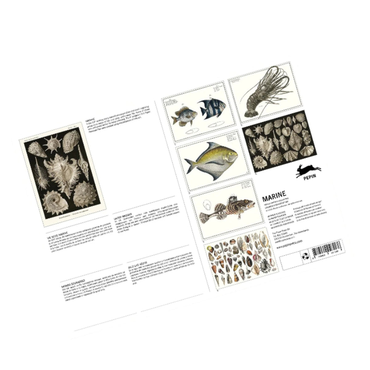 Marine Placemats Set Eleish Van Breems Home