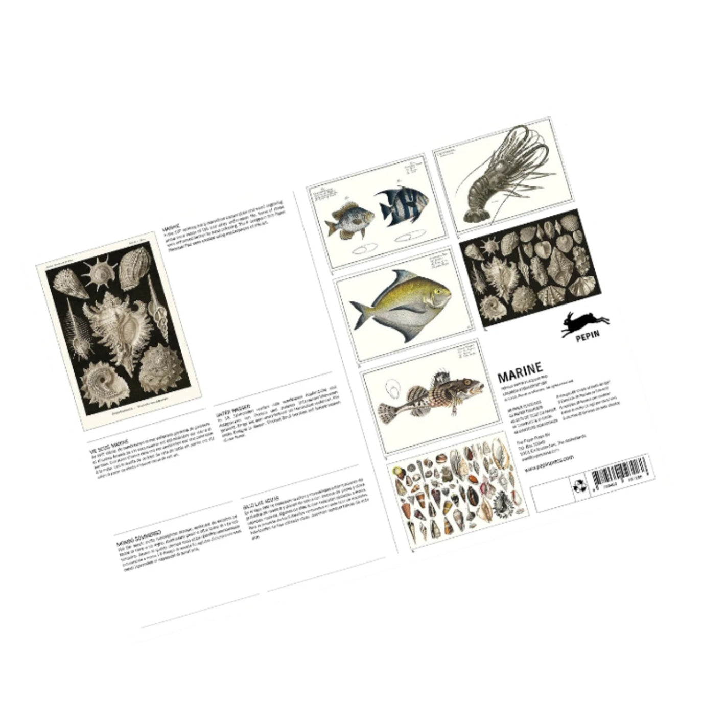 Marine Placemats Set Eleish Van Breems Home