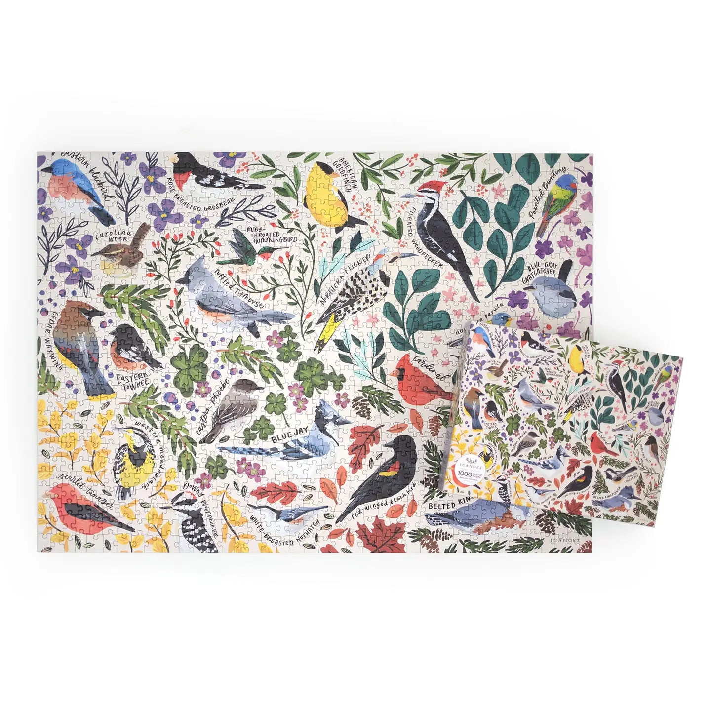 Feathered Friends - 1,000 Piece Bird Jigsaw Puzzle Eleish Van Breems Home