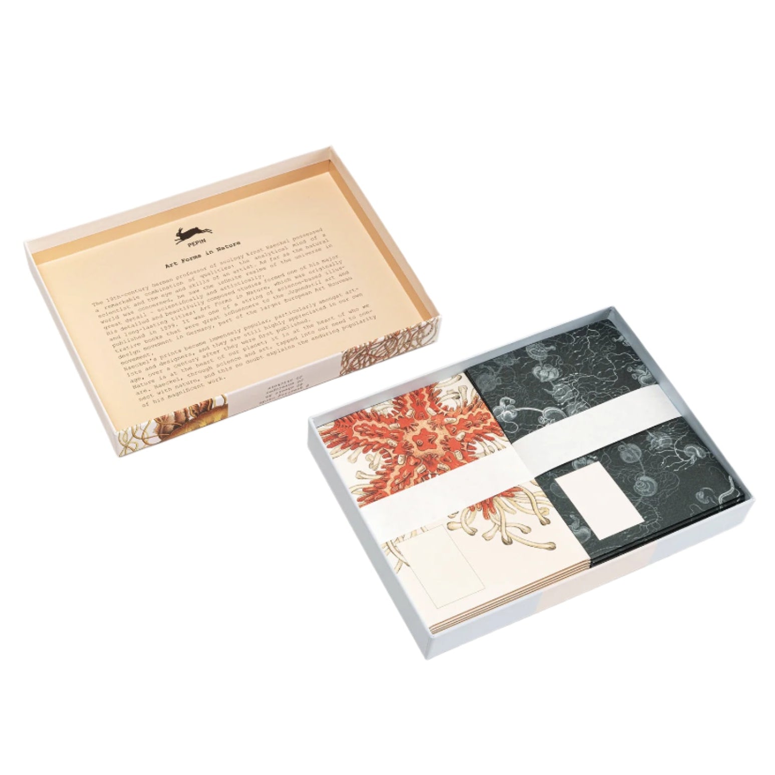Art Forms In Nature Correspondence Set Eleish Van Breems Home