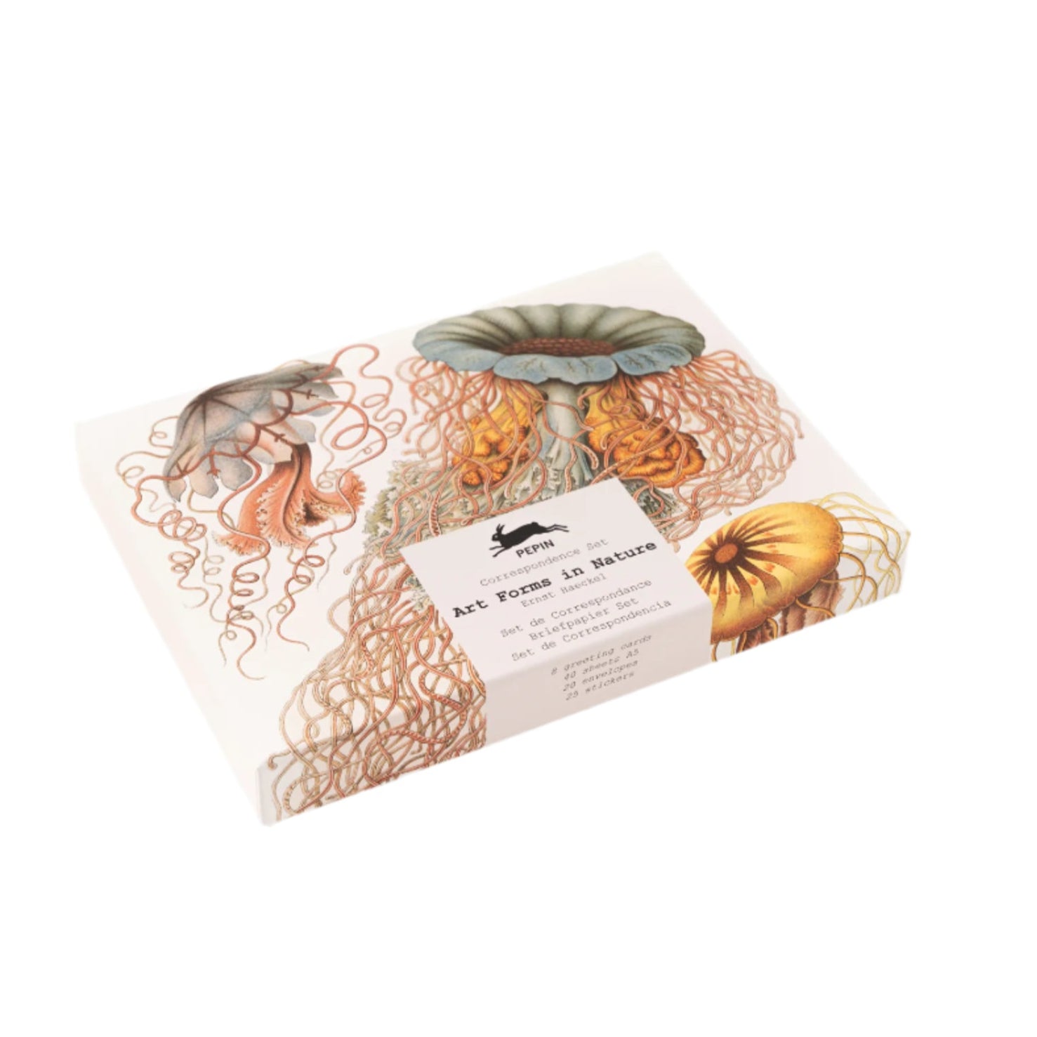 Art Forms In Nature Correspondence Set Eleish Van Breems Home