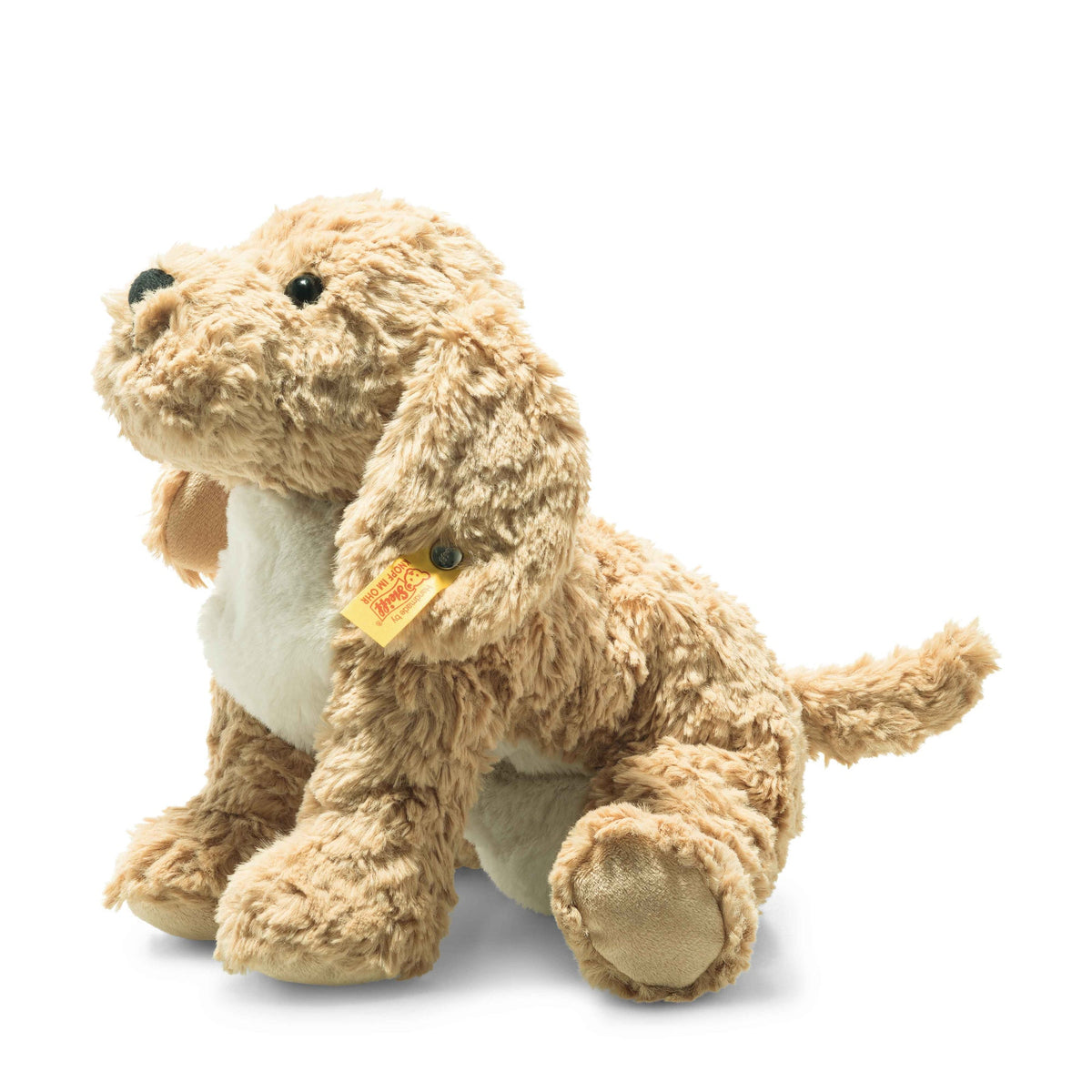 Berno Goldendoodle 10&quot; Eleish Van Breems Home