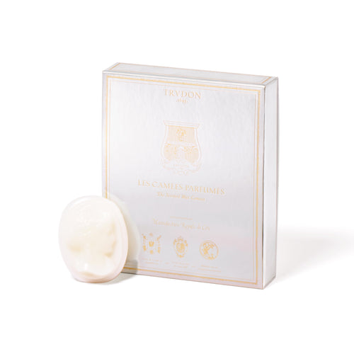 Trudon Set of 4 Cameos La Nuit des Glaces Fir