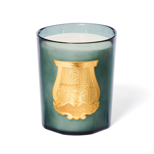 Trudon Le Grande Figuerie Scented Candle