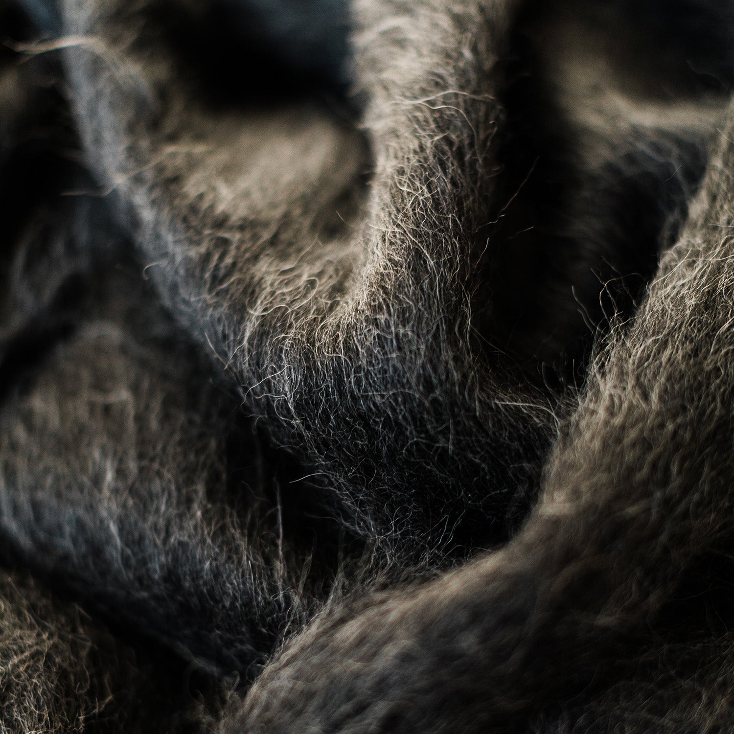 Woolly Mammoth Throw, Charcoal Eleish Van Breems Home
