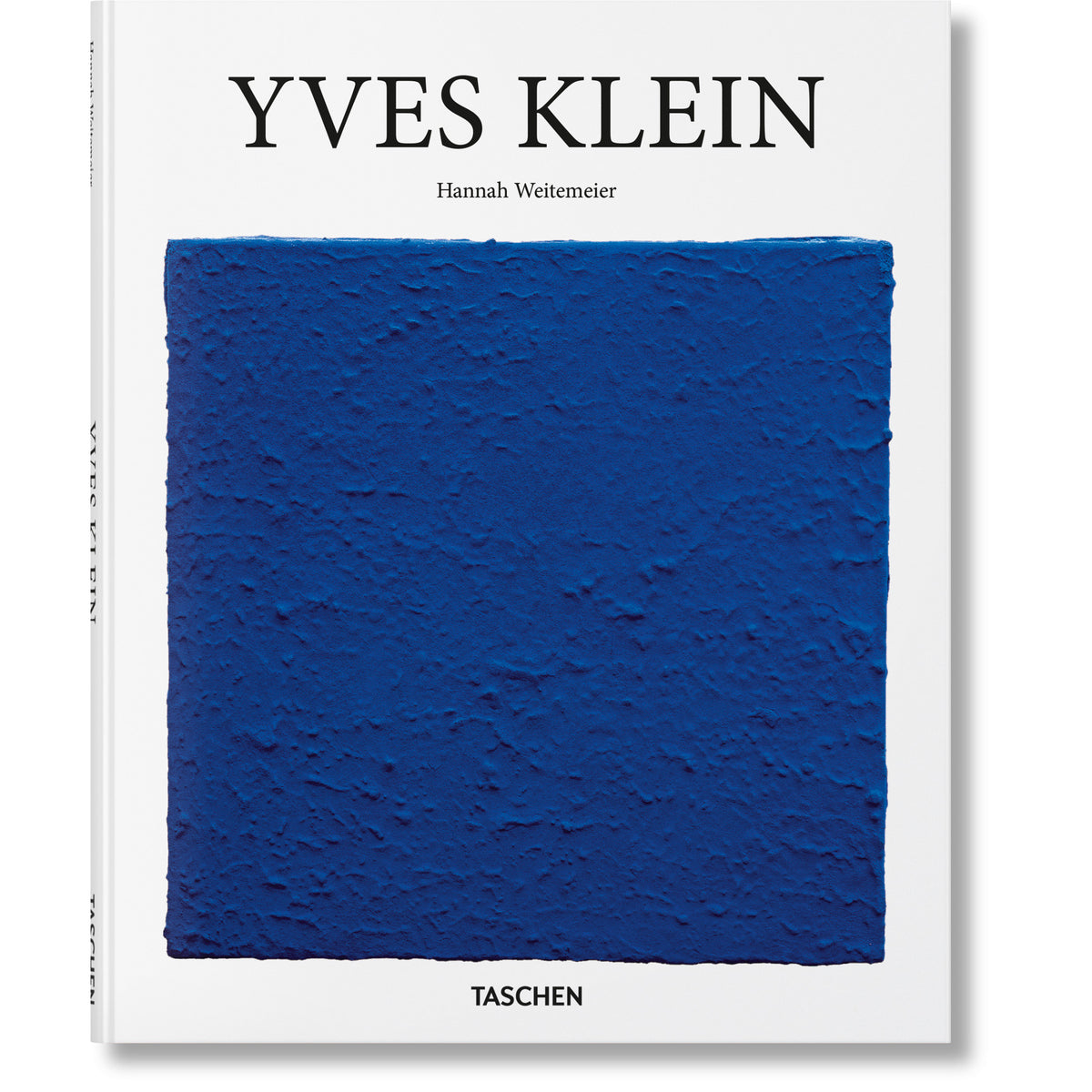 Yves Klein Eleish Van Breems Home