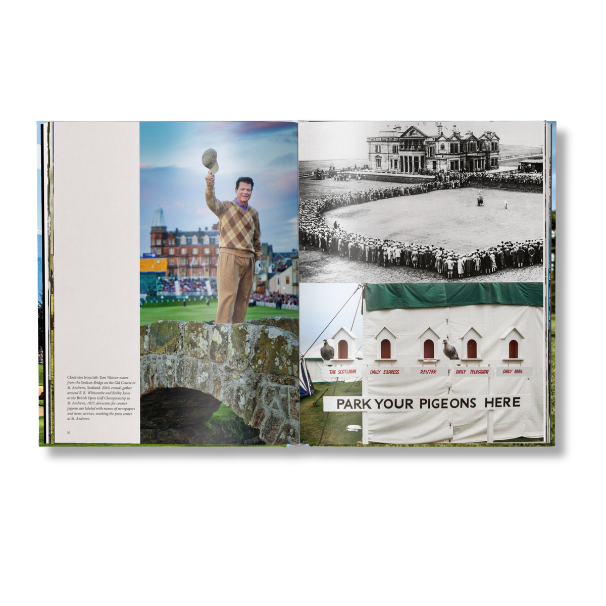 The Stylish Life: Golf Eleish Van Breems Home