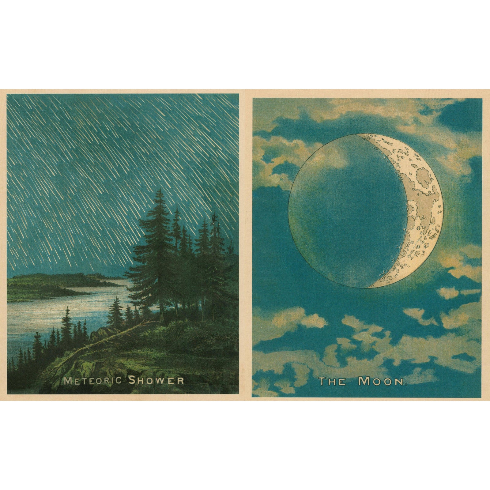 John Derian Picture Book II Eleish Van Breems Home