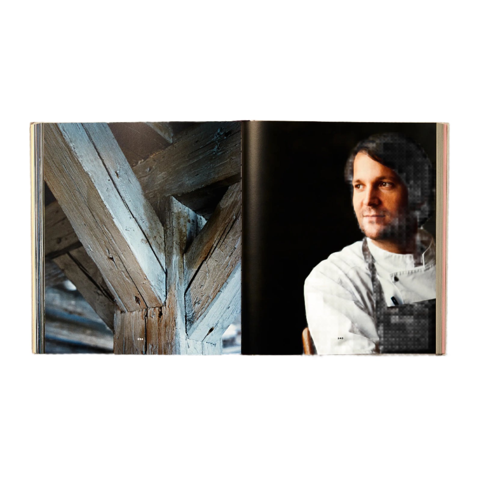 Noma: Time and Place in Nordic Cuisine Eleish Van Breems Home