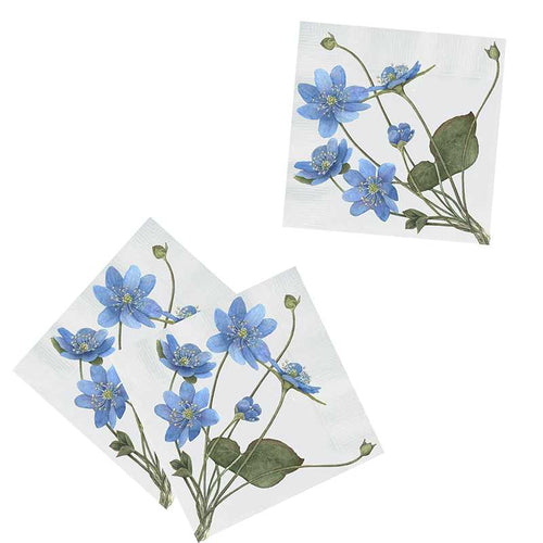 Anemone Paper Napkins