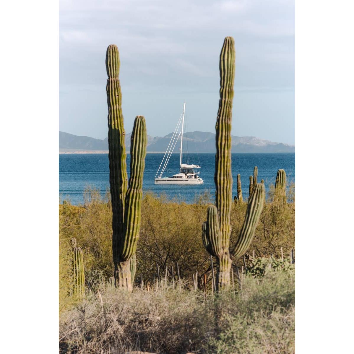Sailing the Seas Vol. 2: Grand Maritime Adventures Eleish Van Breems Home