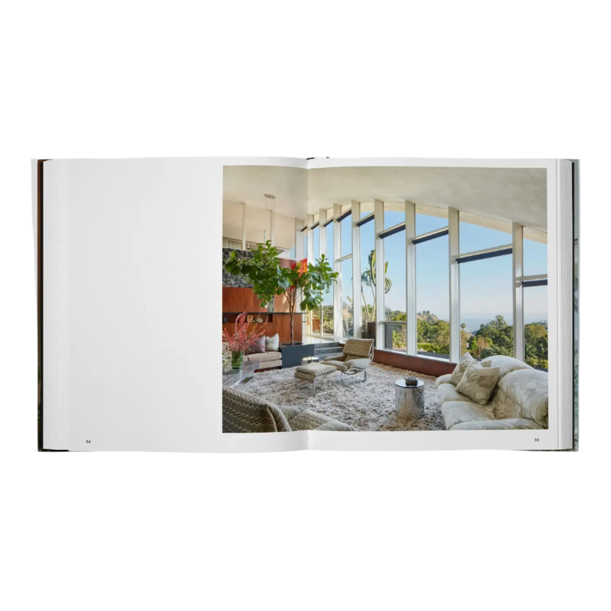 Beyond The Canyon: Inside Epic California Homes Eleish Van Breems Home