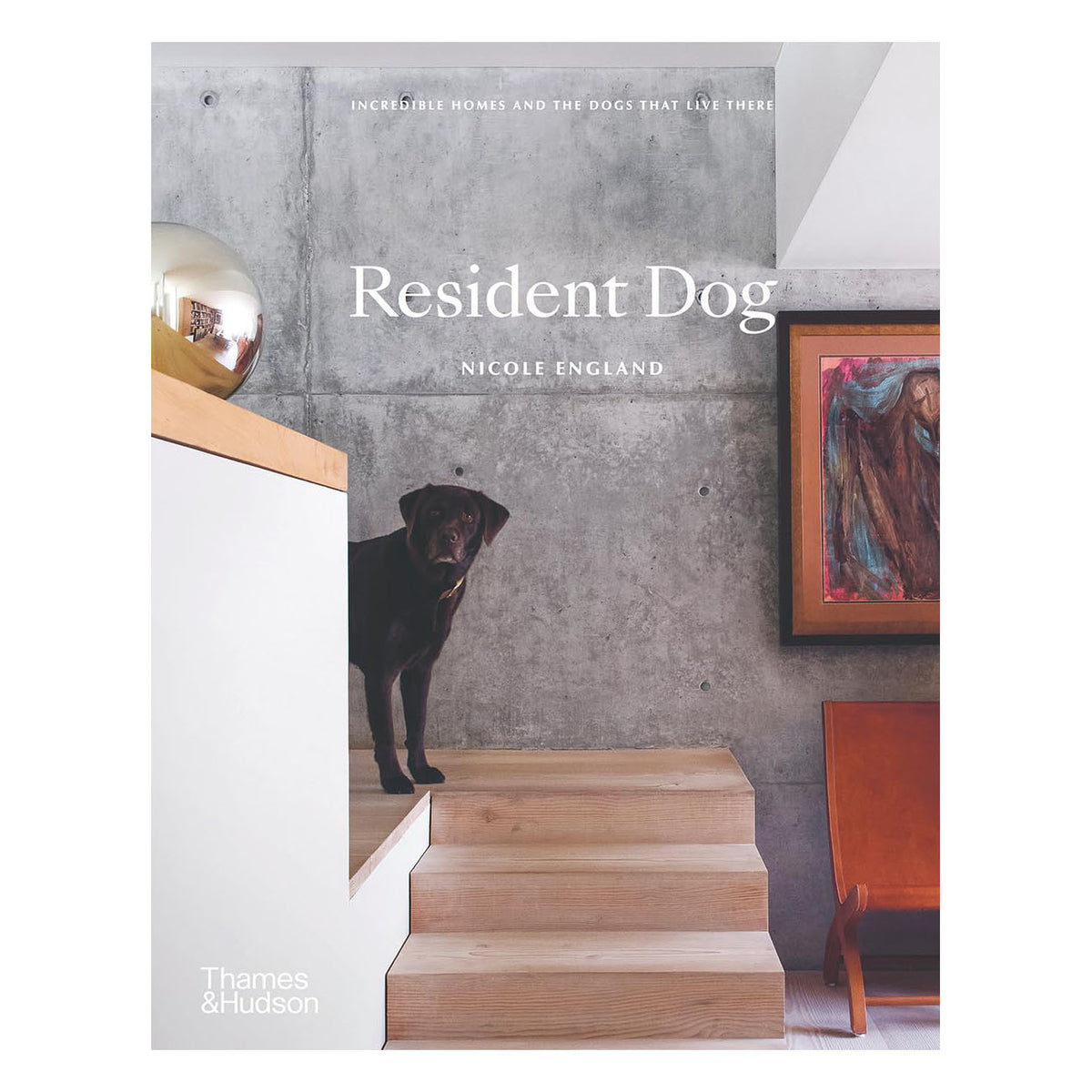 Resident Dog (compact): Incredible Homes And The Dogs That Live There Eleish Van Breems Home