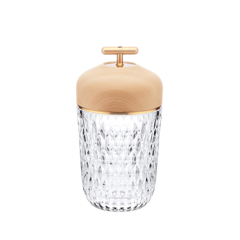 FOLIA Portable Lamp Clear Crystal with Clear Ash Brushed Brass Finish