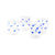 Wild Collection Clear Tumbler With Blue Details Eleish Van Breems Home