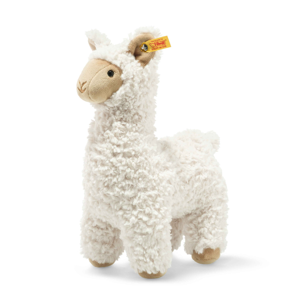 Leandro Llama Eleish Van Breems Home