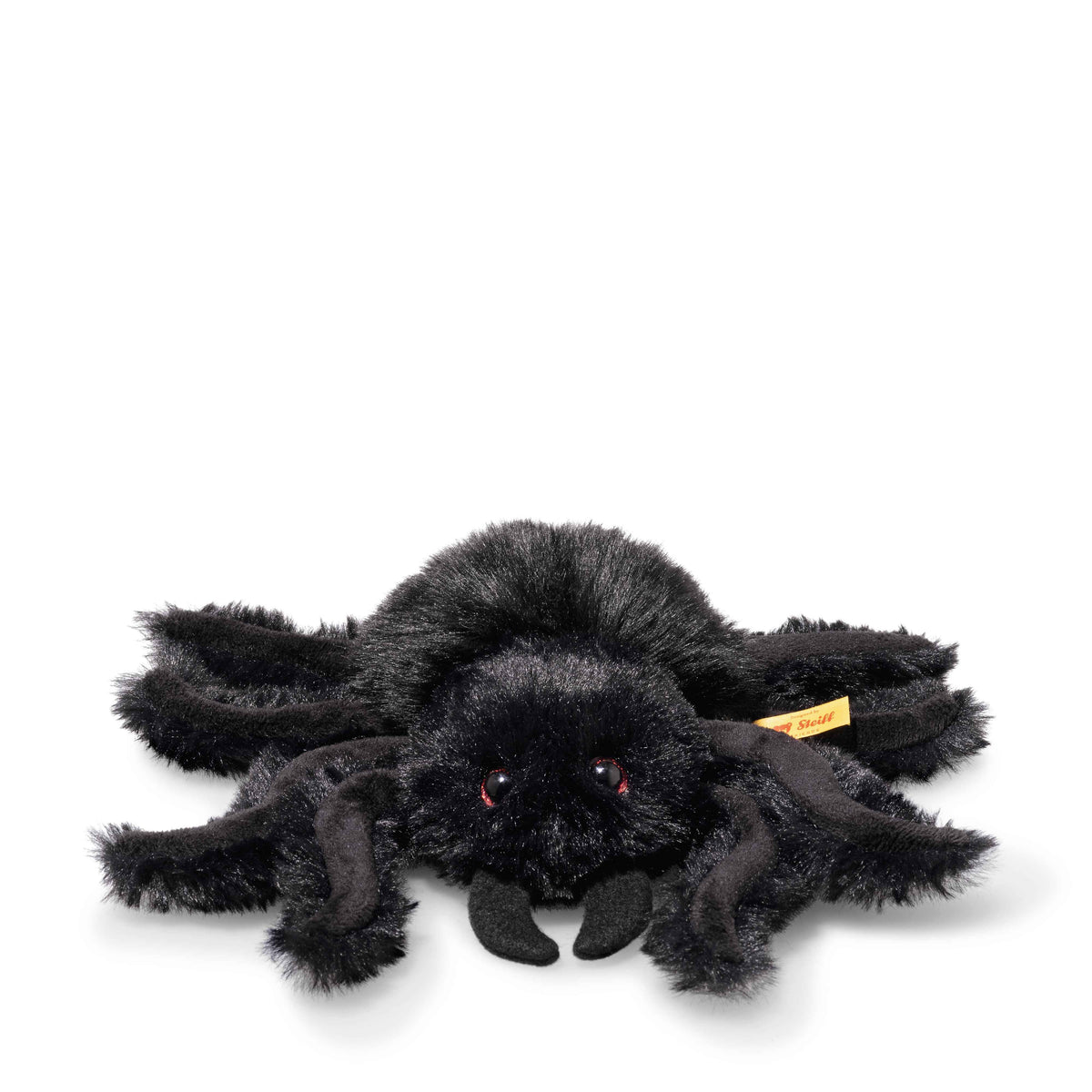 Cobweb the Spooky Spider Eleish Van Breems Home