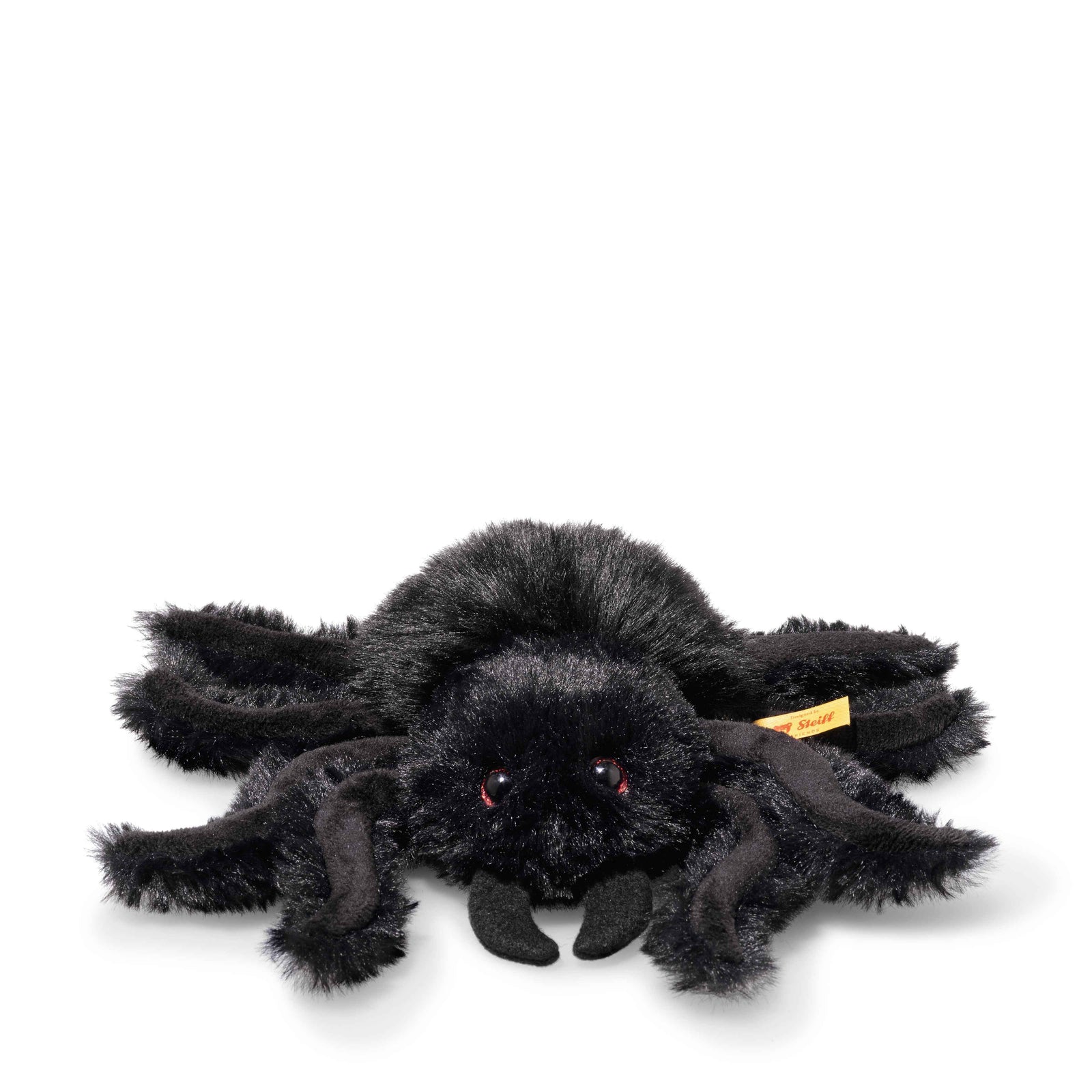 Cobweb the Spooky Spider Eleish Van Breems Home