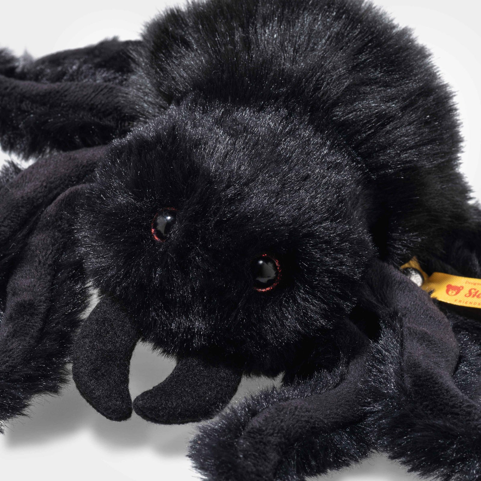 Cobweb the Spooky Spider Eleish Van Breems Home