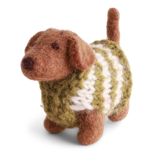 Dachshund Dog With Knitted Sweater