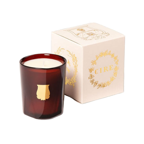 Trudon La Petite Cire Beeswax Absolute