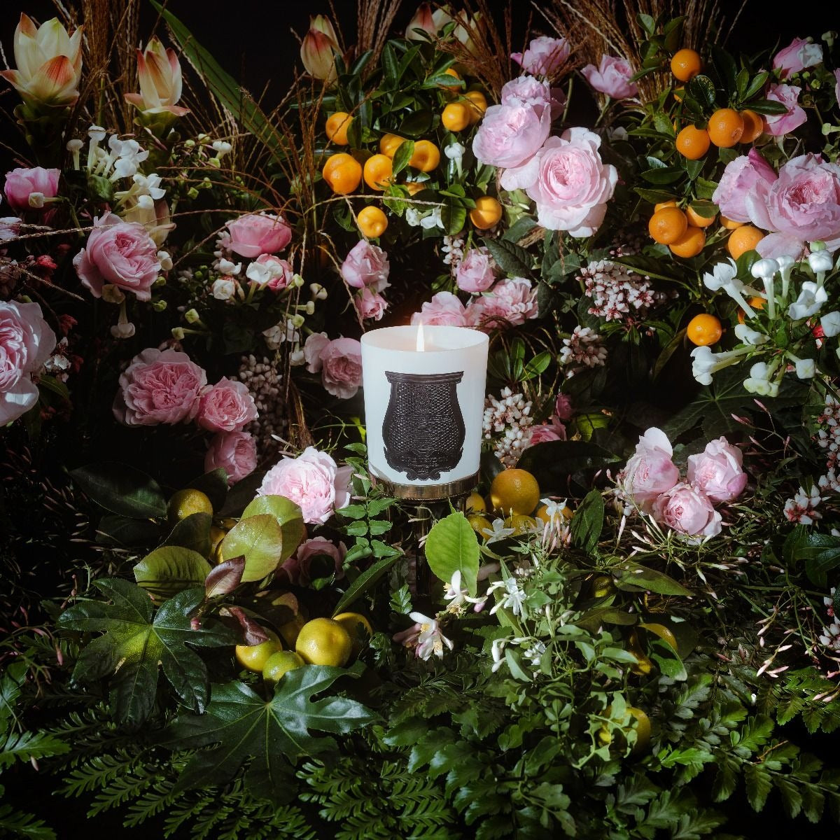 Trudon Rose Poivrée Giambattista Valli Classique Scented Candle Eleish Van Breems Home