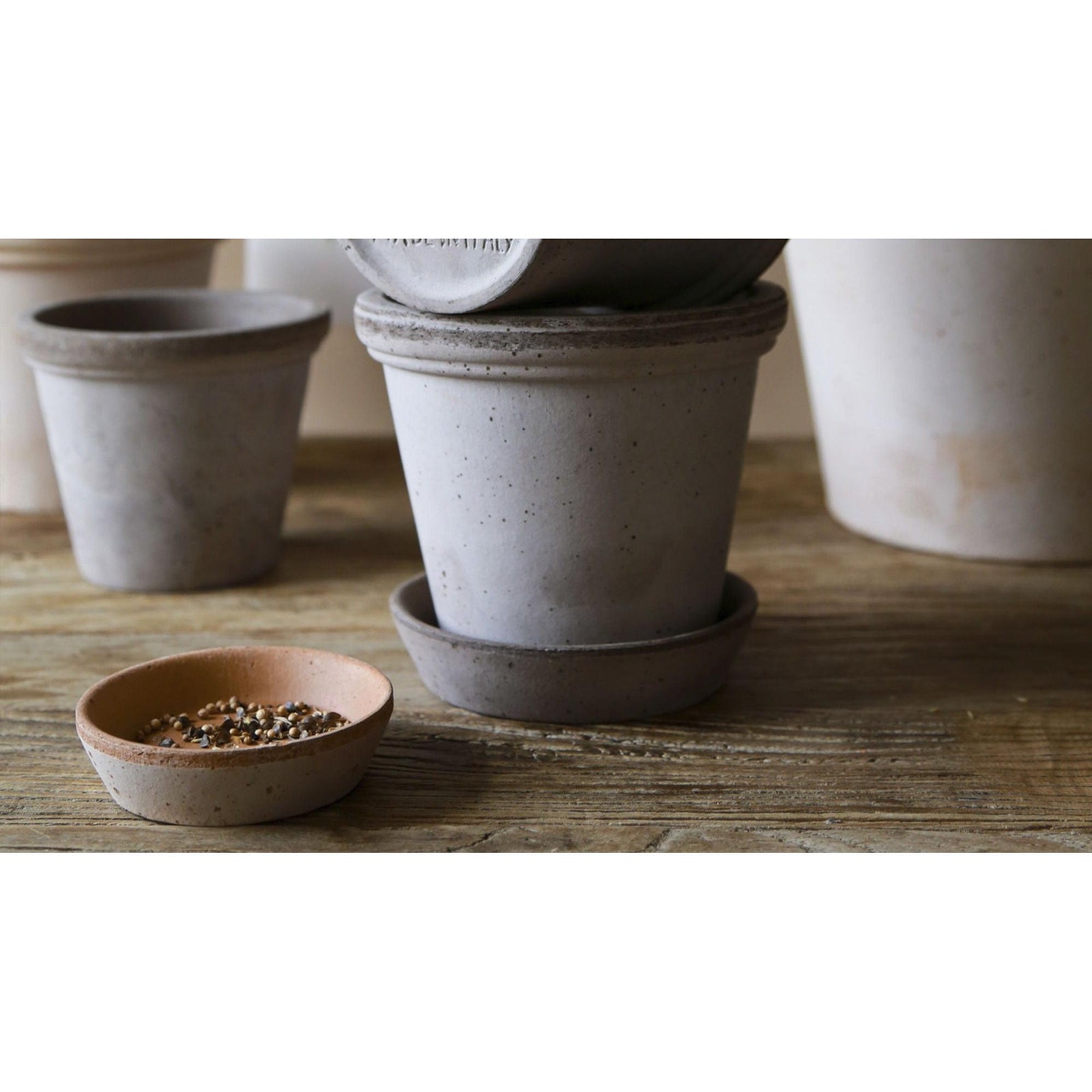 The Flora Raw Terracotta Pot Eleish Van Breems Home
