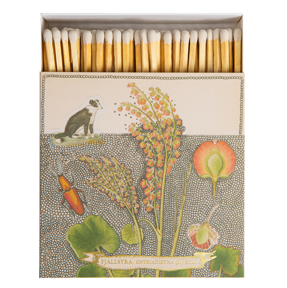 Chien Botanical Safety Matches Eleish Van Breems Home