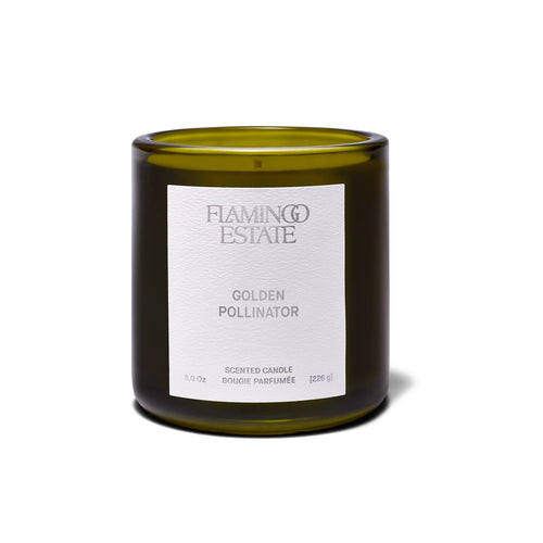 Flamingo Estate Golden Pollinator Candle