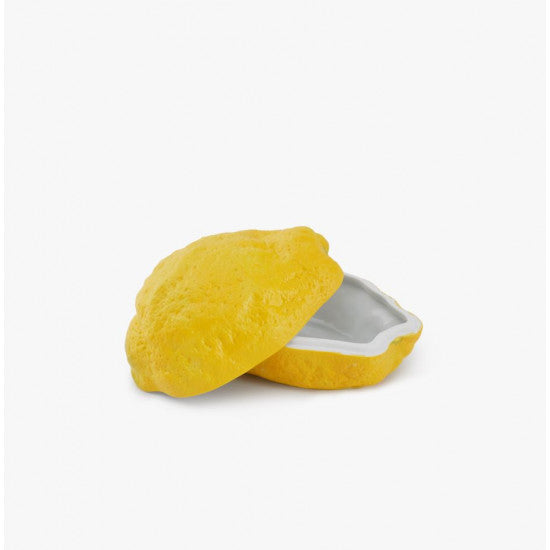 Lemon Box Dish Eleish Van Breems Home
