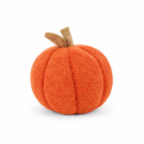 Rusty Red Pumpkin
