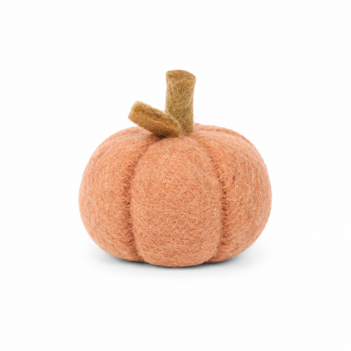 Dusty Light Orange Pumpkin