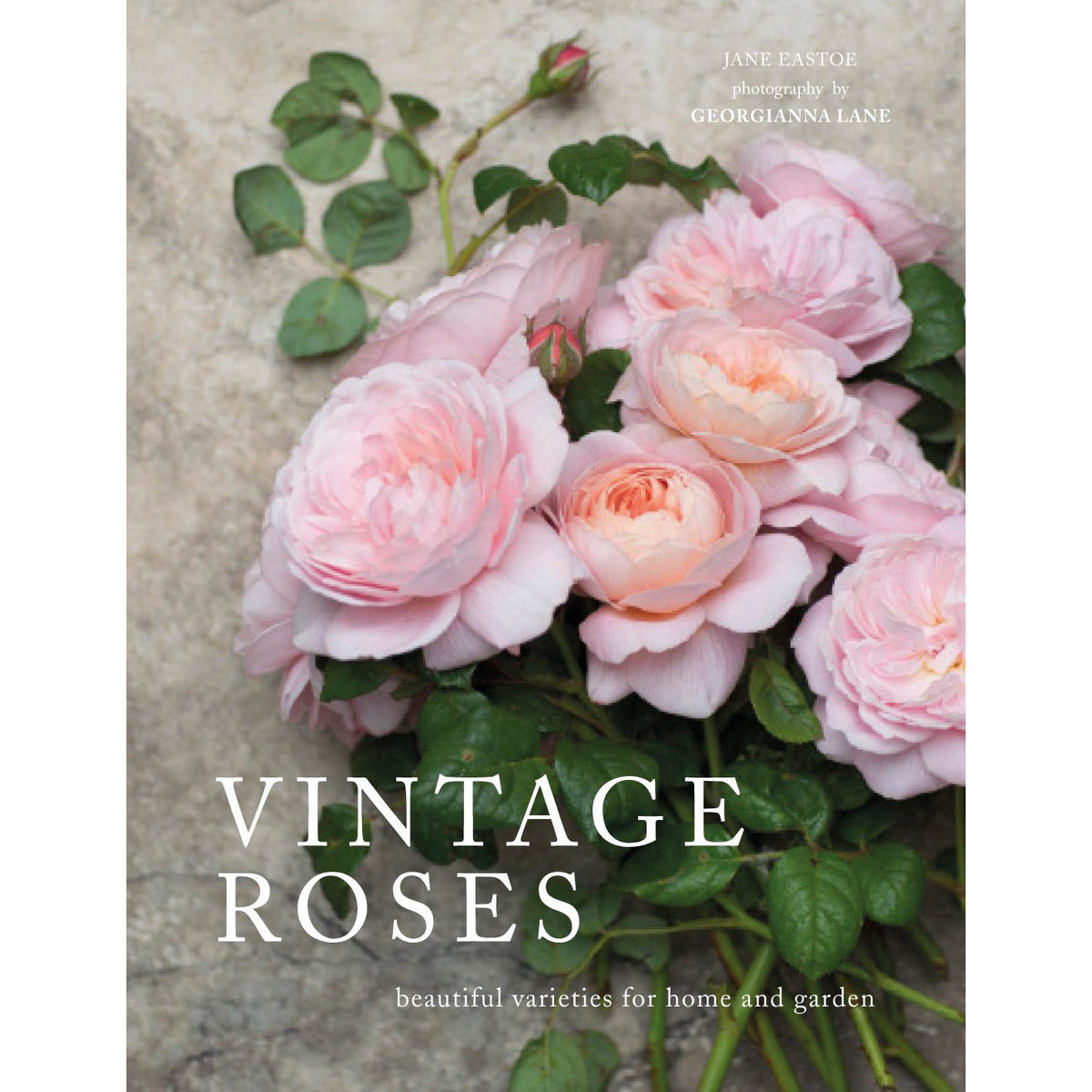 Vintage Roses: Beautiful Varieties For Home And Garden Eleish Van Breems Home