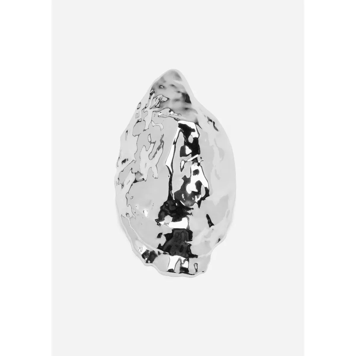 Oyster Bottle Opener Eleish Van Breems Home