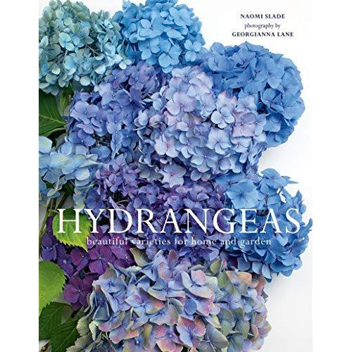 Hydrangeas Eleish Van Breems Home