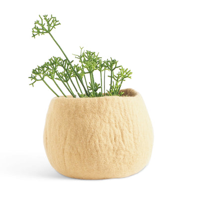 Wool Flower Pot Medium