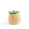 Wool Flower Pot Small