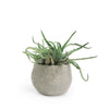 Wool Flower Pot Small