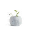 Wool Flower Pot Small