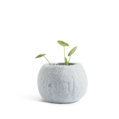 Wool Flower Pot Small
