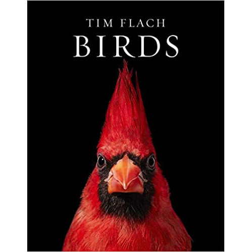 Birds Eleish Van Breems Home