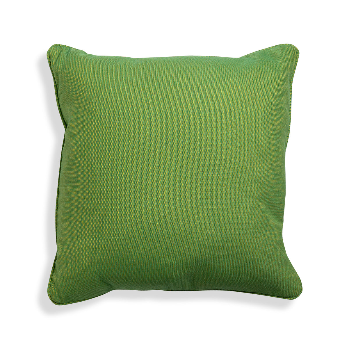 Outdoor Pillow Palmilla Cactus Self Welt 20x20 Eleish Van Breems Home