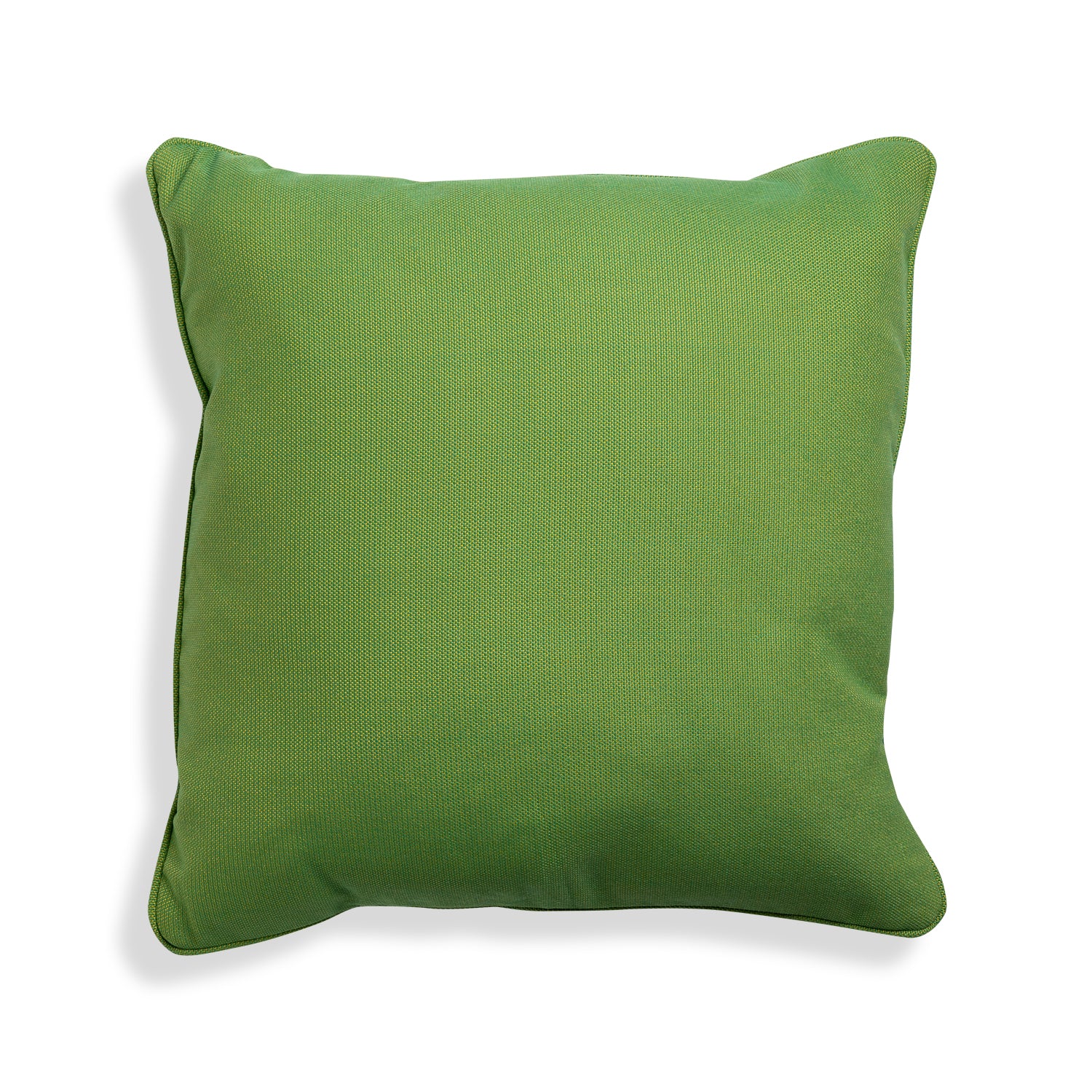 Outdoor Pillow Palmilla Cactus Self Welt 20x20