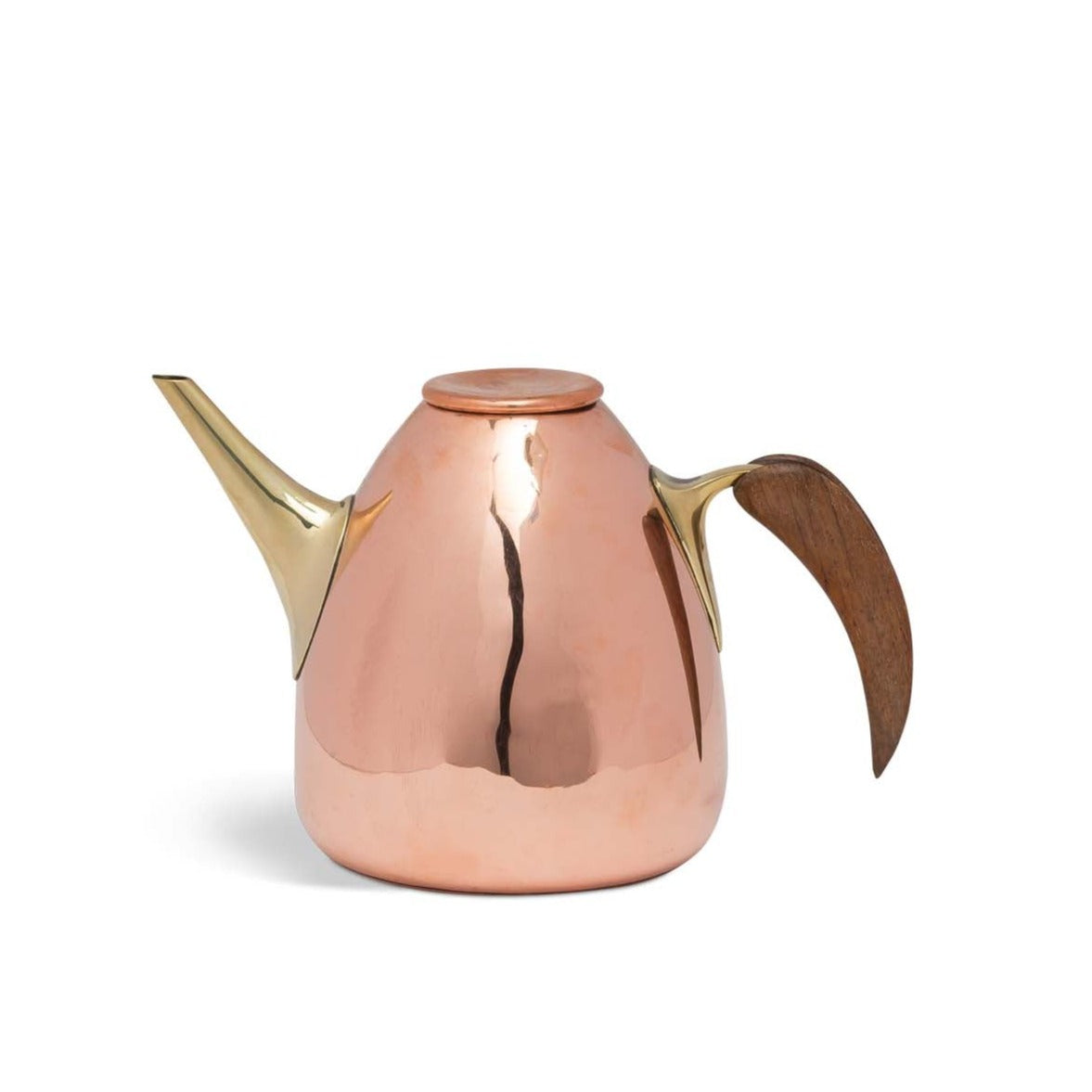 Copper Teapot with Brass Spout and Wooden Handle Eleish Van