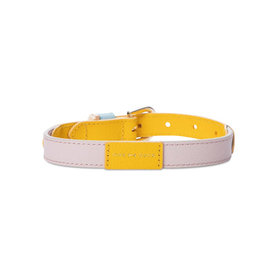 Isabel Collar