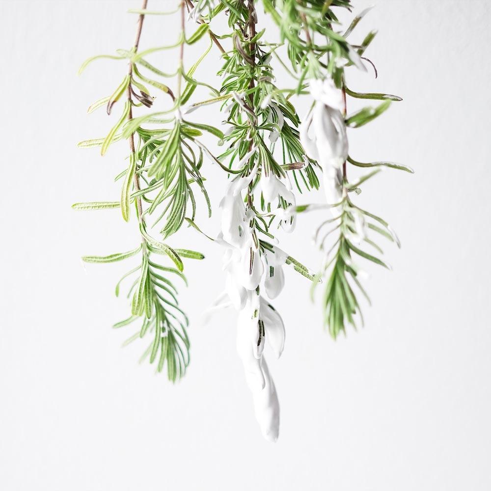 Allay Bath Soak Eleish Van Breems Home