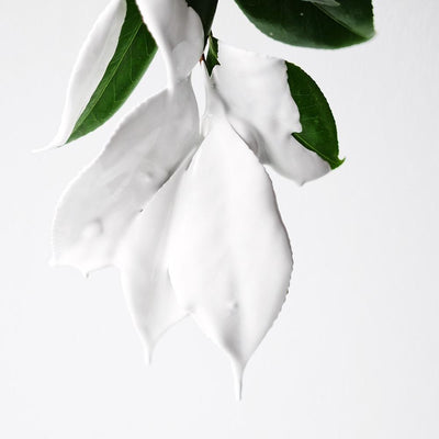 Aloe Botanic Mist Eleish Van Breems Home