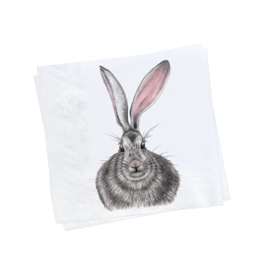 Charlotte Nicolin Paper Napkins Henrietta Eleish Van Breems Home