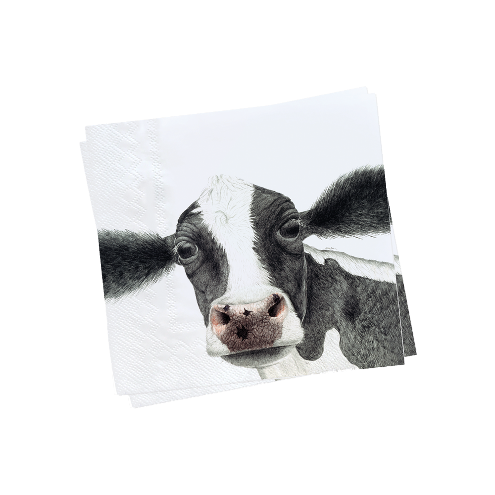 Charlotte Nicolin Paper Napkins Rosa Eleish Van Breems Home