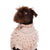 Coco Collar Eleish Van Breems Home